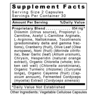CircuZyme™ - Image 2